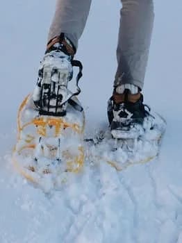 Snowshoeing